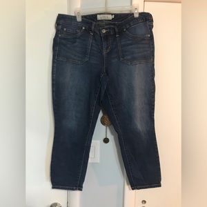 Torrid Jeans